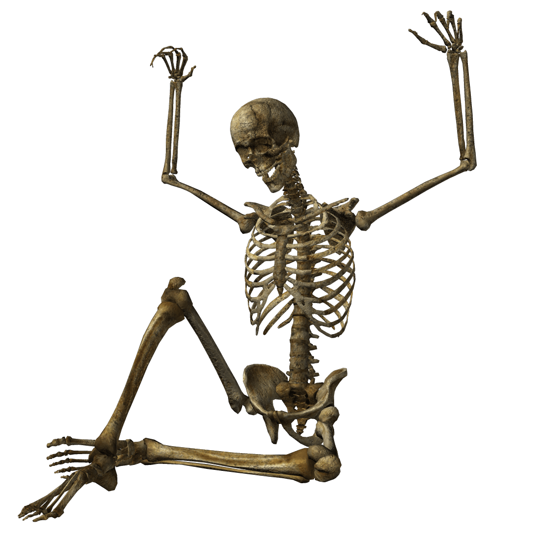 Skeleton Transparent PNG Image