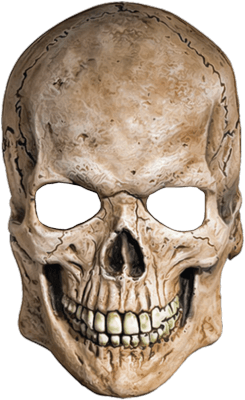 Skull Transparent PNG Image