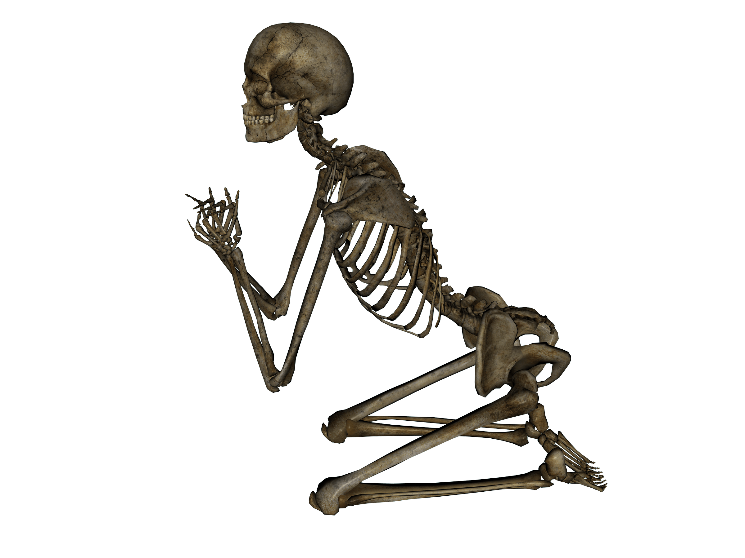 Skeleton Transparent PNG Image