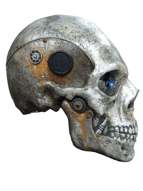 Skull Transparent PNG Image