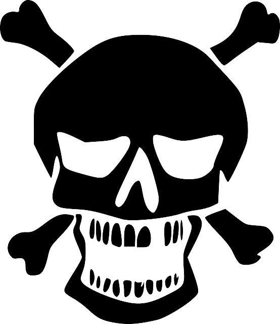 Skull Logo Transparent PNG Image