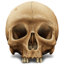 Skull Transparent PNG Image