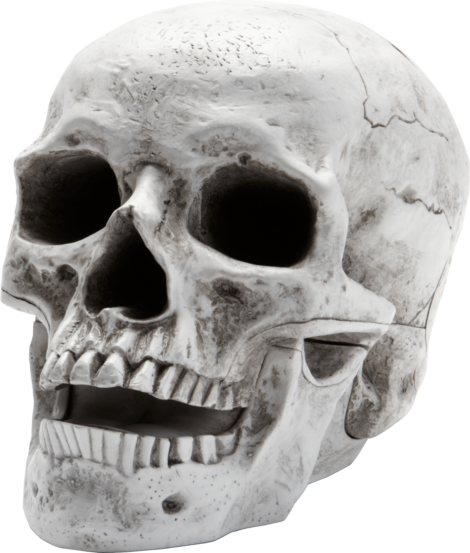 Skull Transparent PNG Image