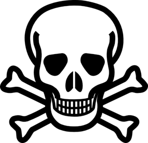 Skull Transparent PNG Image