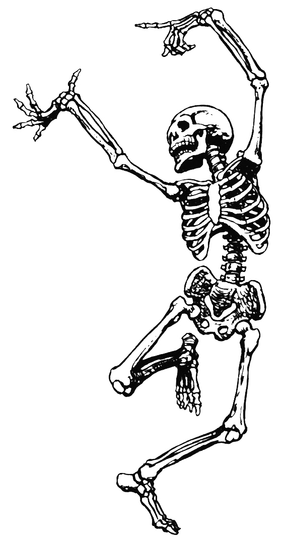 Dance Skeleton Human Skull Transparent PNG Image