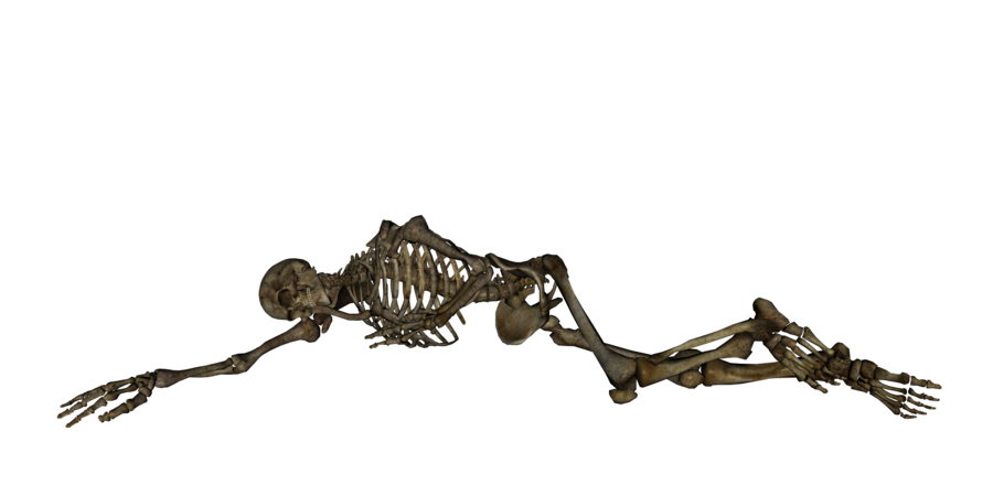 Skeleton Transparent PNG Image
