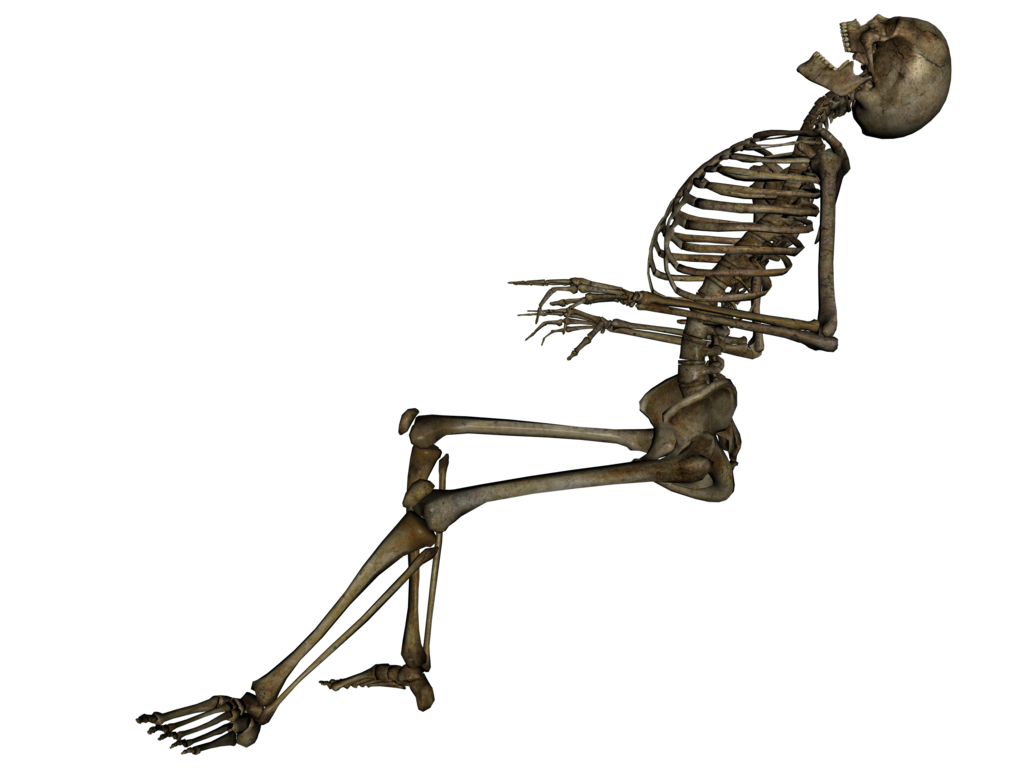 Skeleton Transparent PNG Image