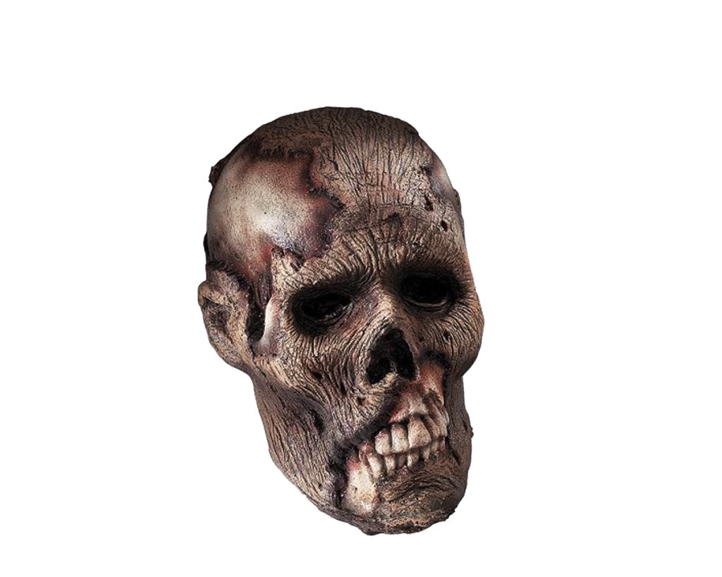 Skeleton Head Transparent PNG Image
