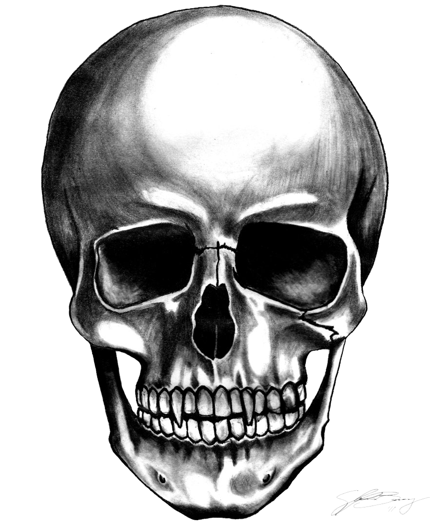 Skull Background Transparent PNG Image
