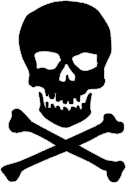 Skull Transparent PNG Image