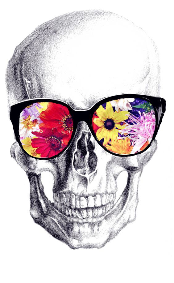 Calavera Art Drawing Skull Transparent PNG Image