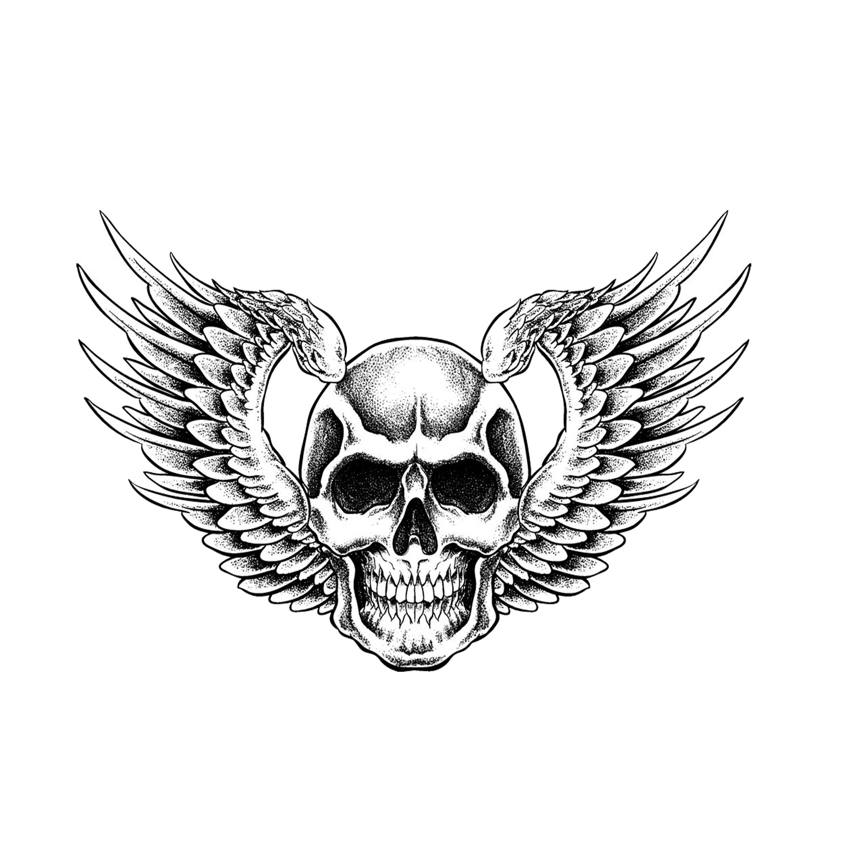 Symbolism Skull Human Drawing Transparent PNG Image