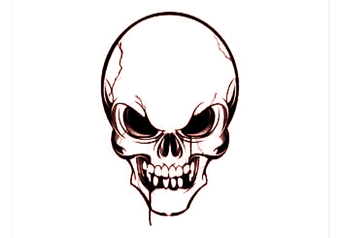 Euclidean Vector Skull Transparent PNG Image