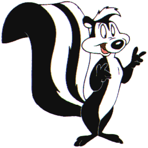 Skunk Transparent PNG Image