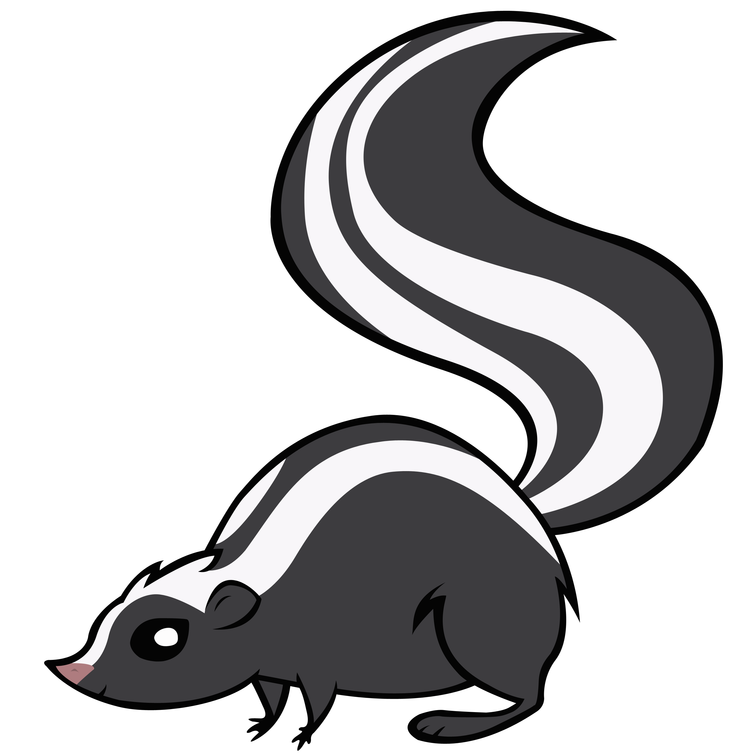 Skunk Transparent PNG Image