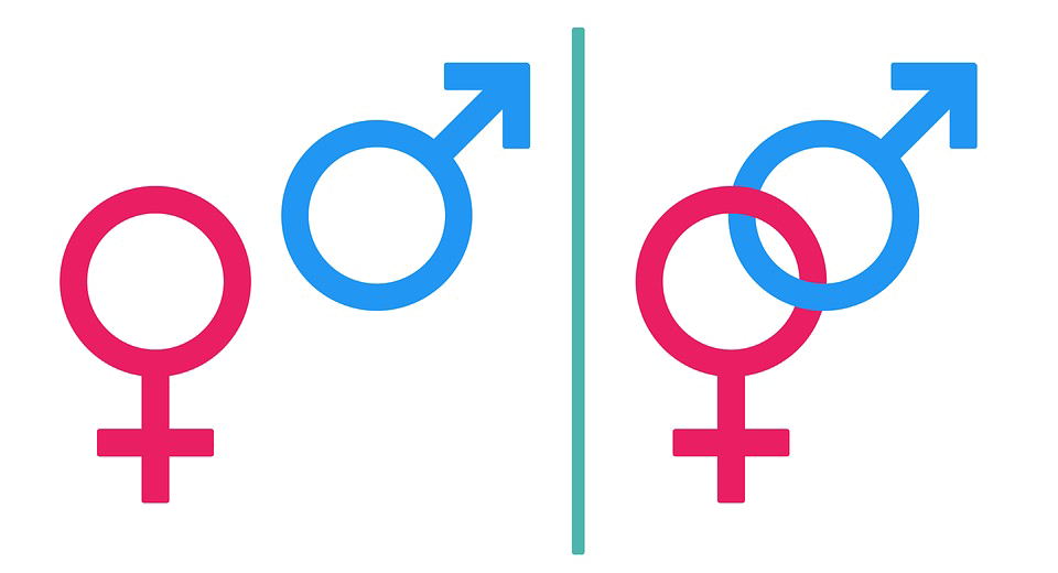 Gender Transparent PNG Image