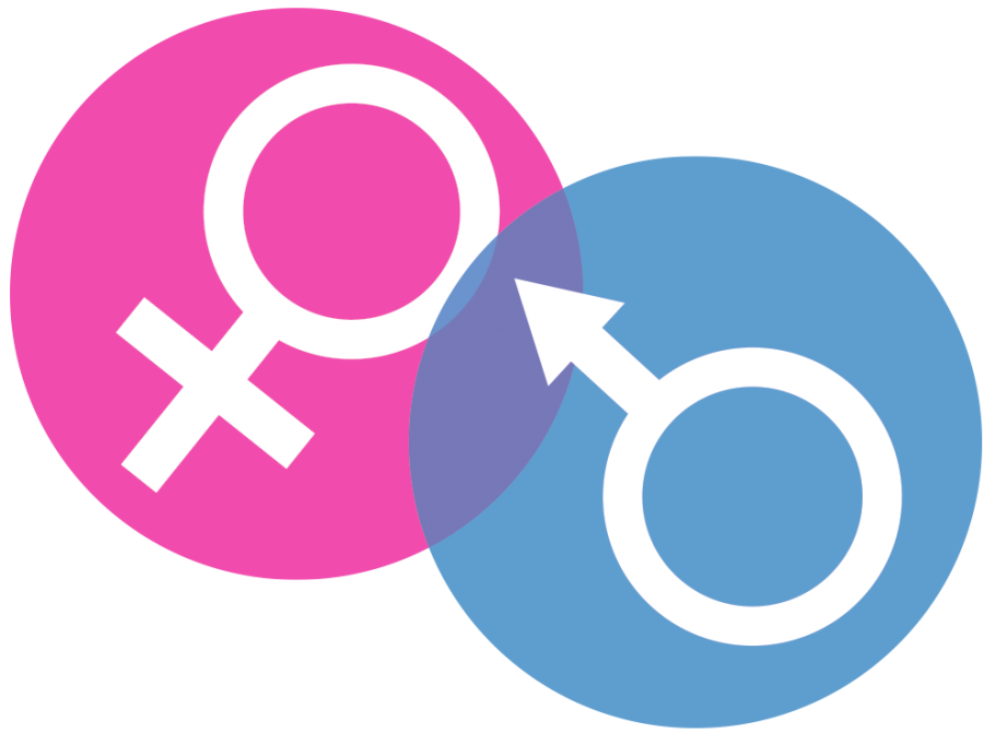 Gender Transparent PNG Image