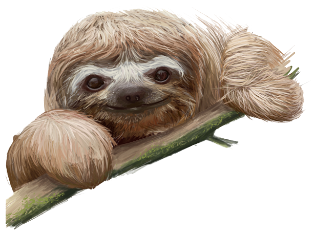 Sloth Transparent PNG Image