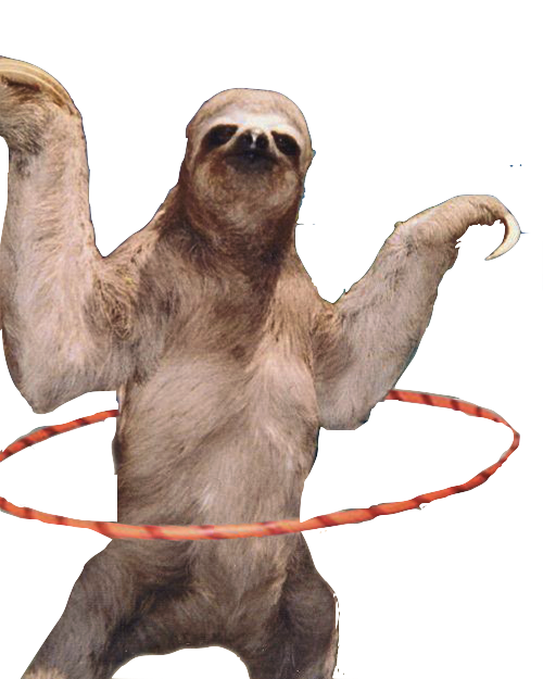 Sloth Transparent PNG Image