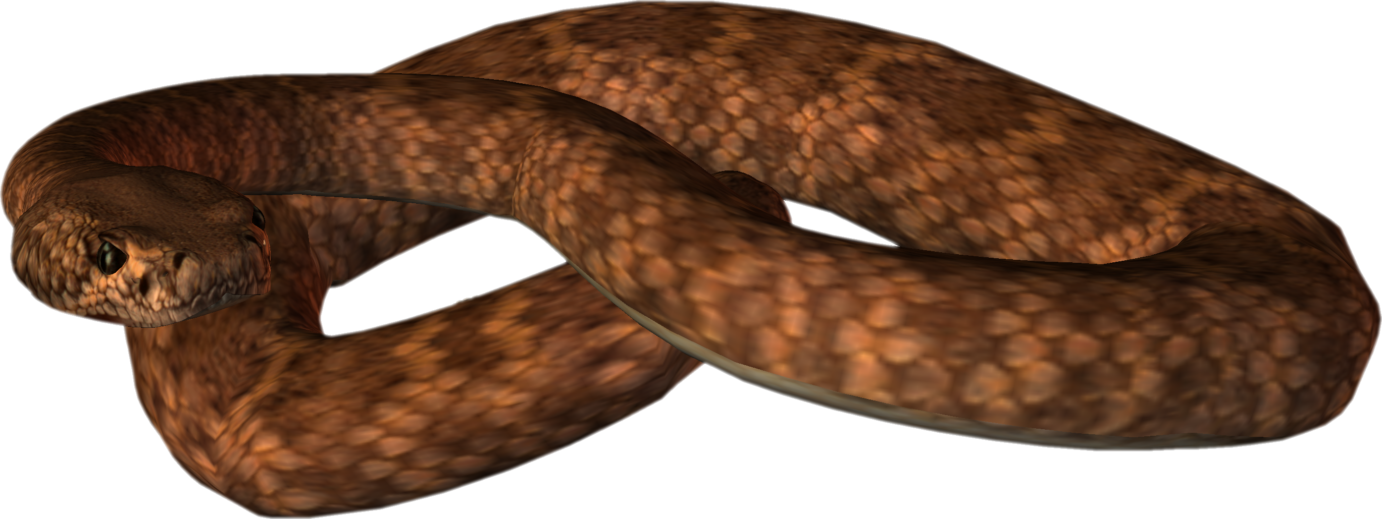 Snake Transparent PNG Image
