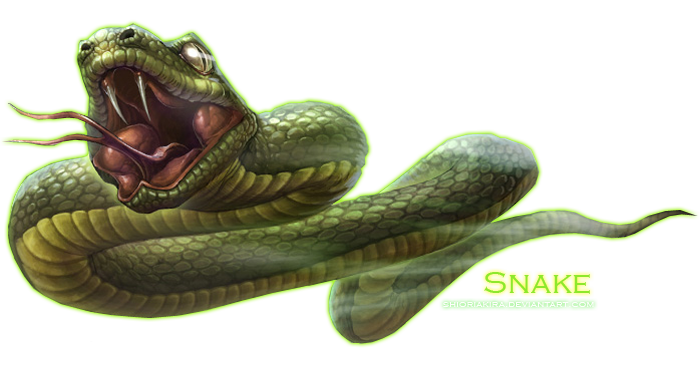 Snake Transparent PNG Image