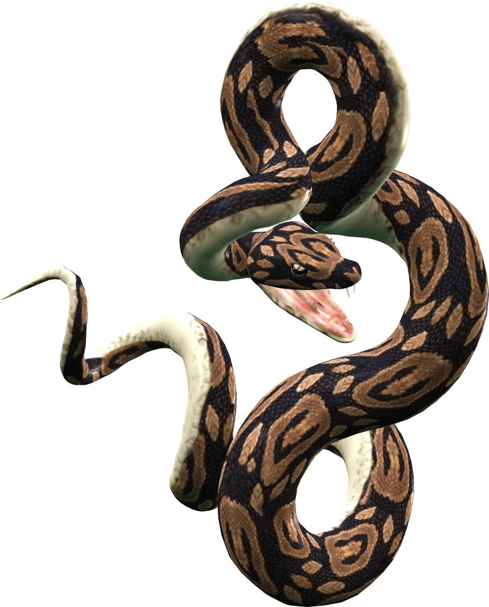 Snake Transparent PNG Image
