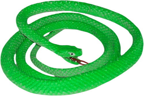 Green Snake Transparent PNG Image