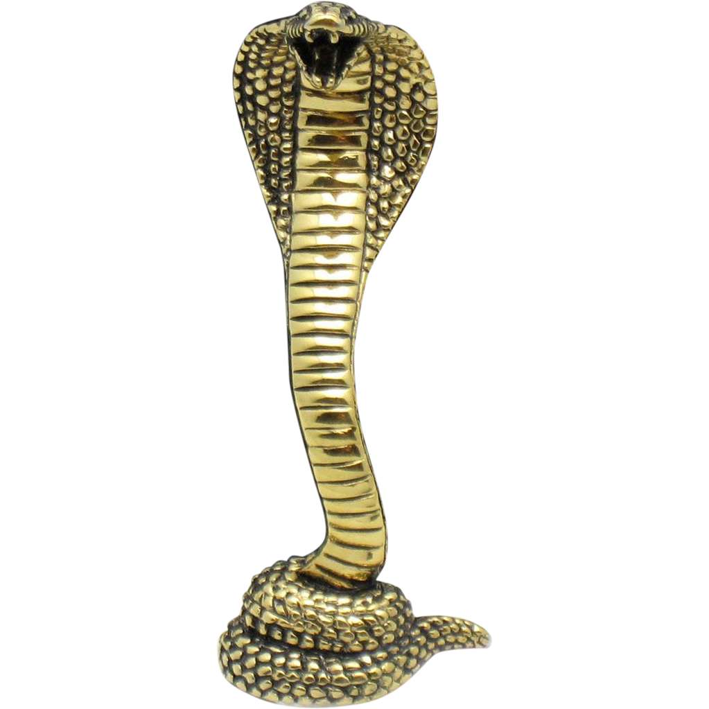 Cobra Snake Transparent PNG Image