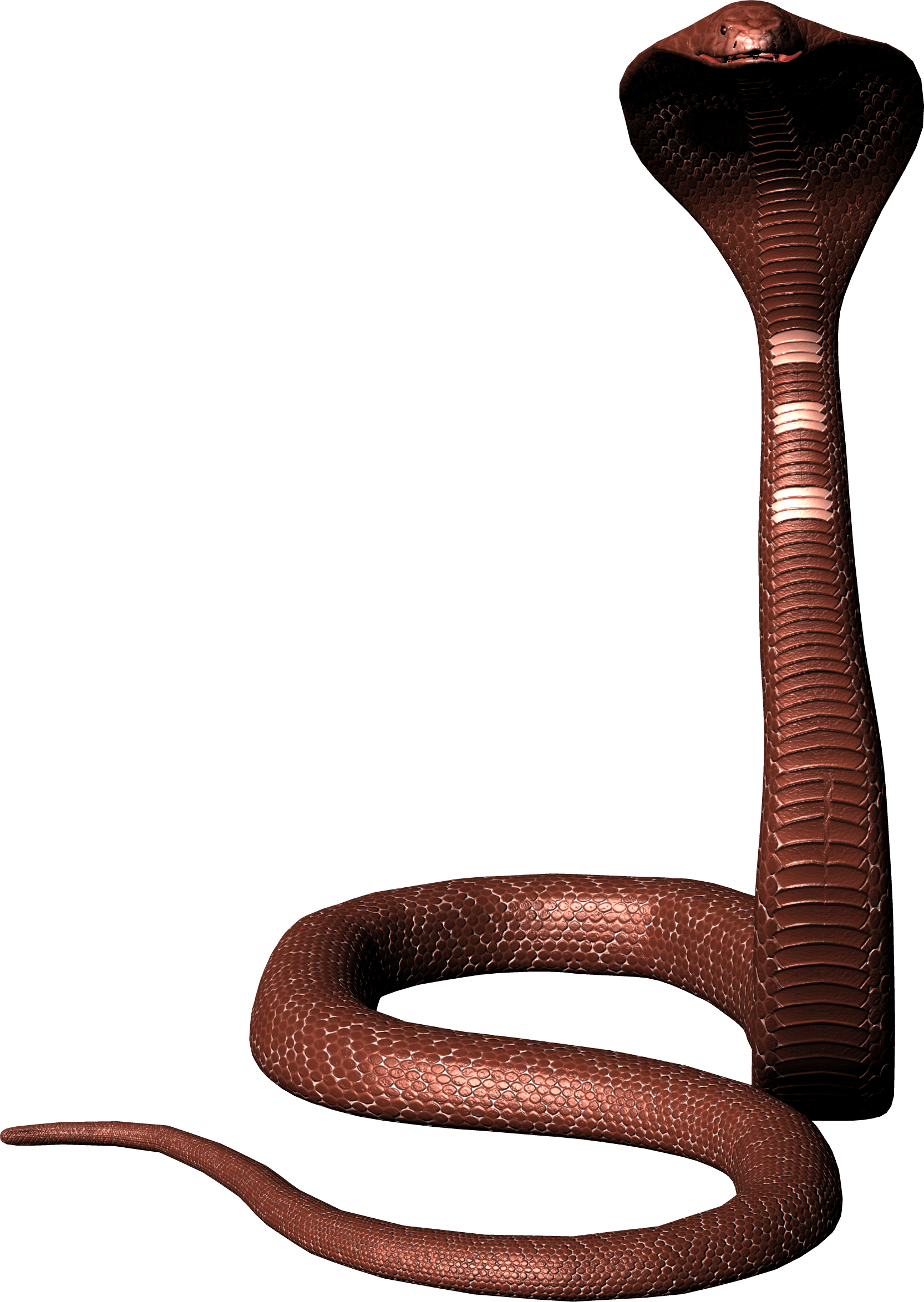 Cobra Snake Transparent PNG Image