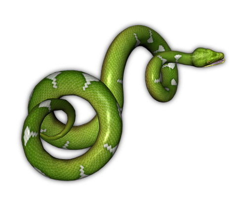 Green Snake Background Transparent PNG Image