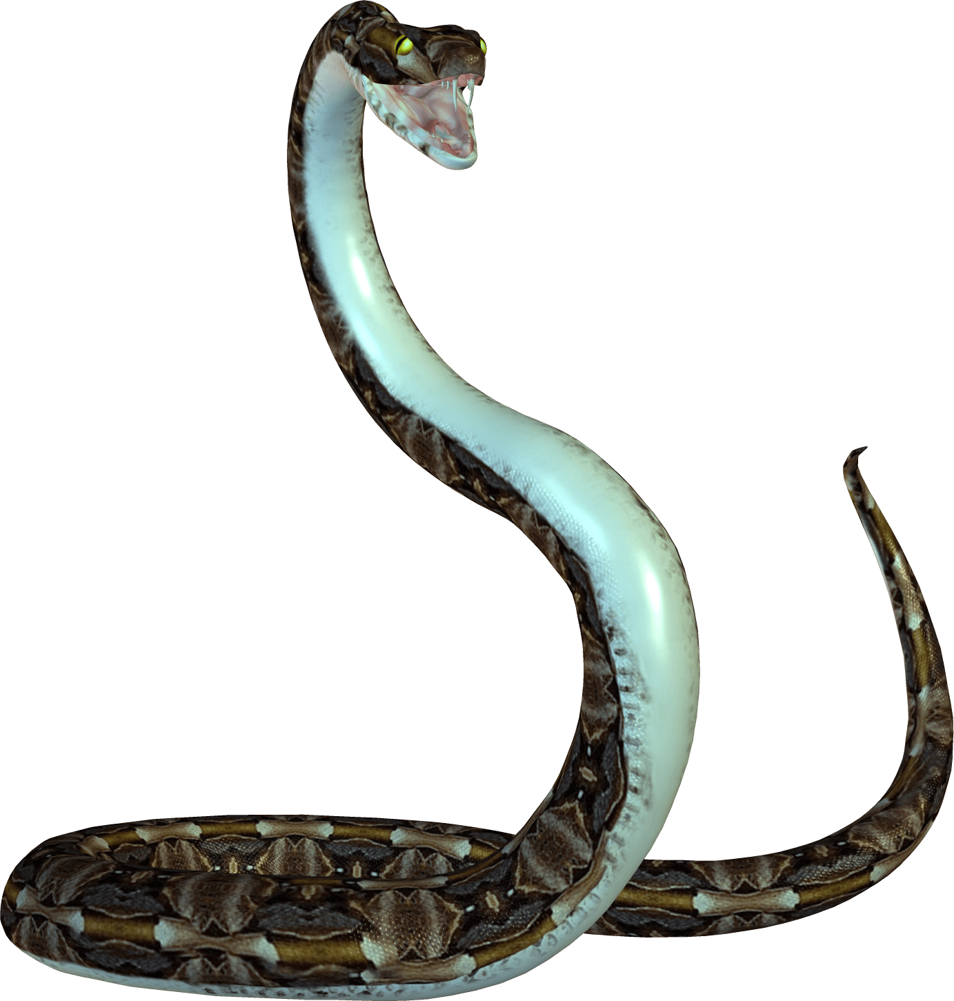 Snake Transparent PNG Image