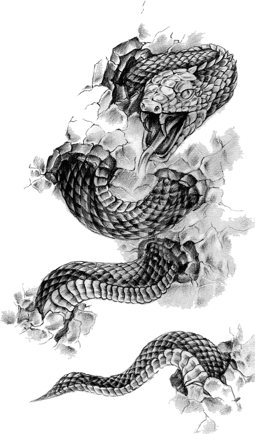 Tattoo Flash Rattlesnake Snake Black-And-Gray Transparent PNG Image