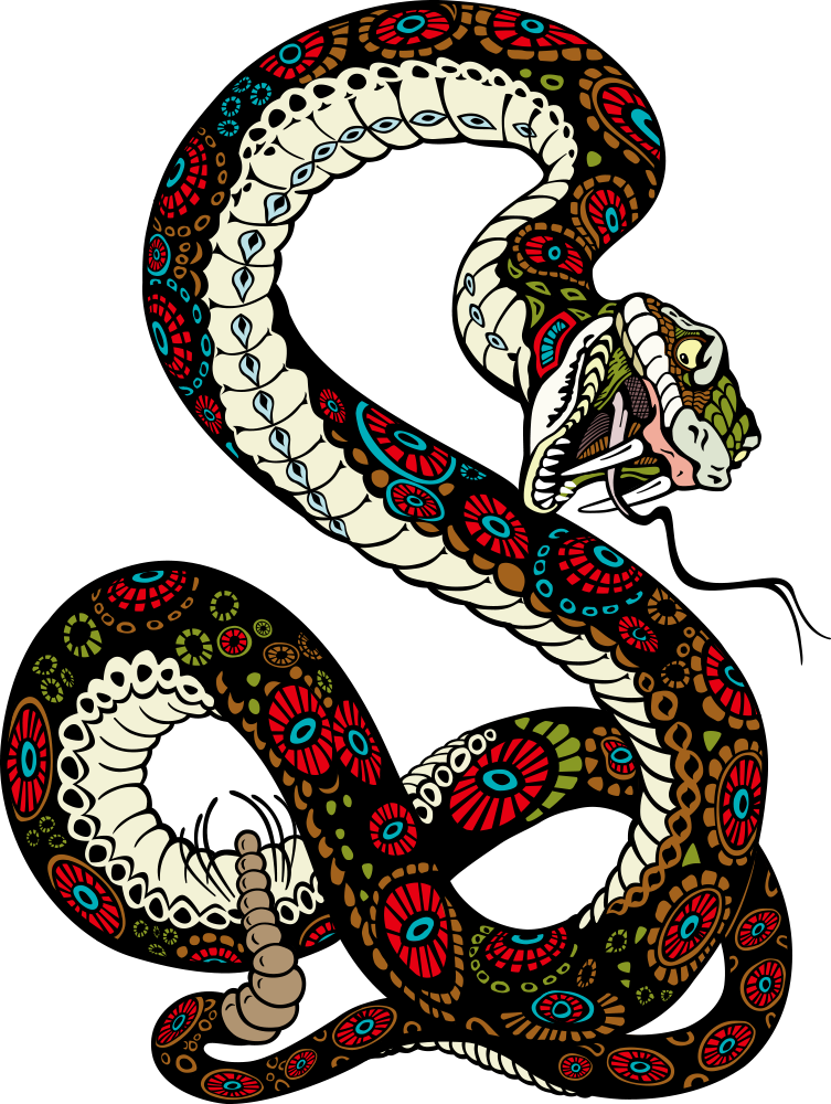 Tiger Lion Vector Snake Illustration Transparent PNG Image