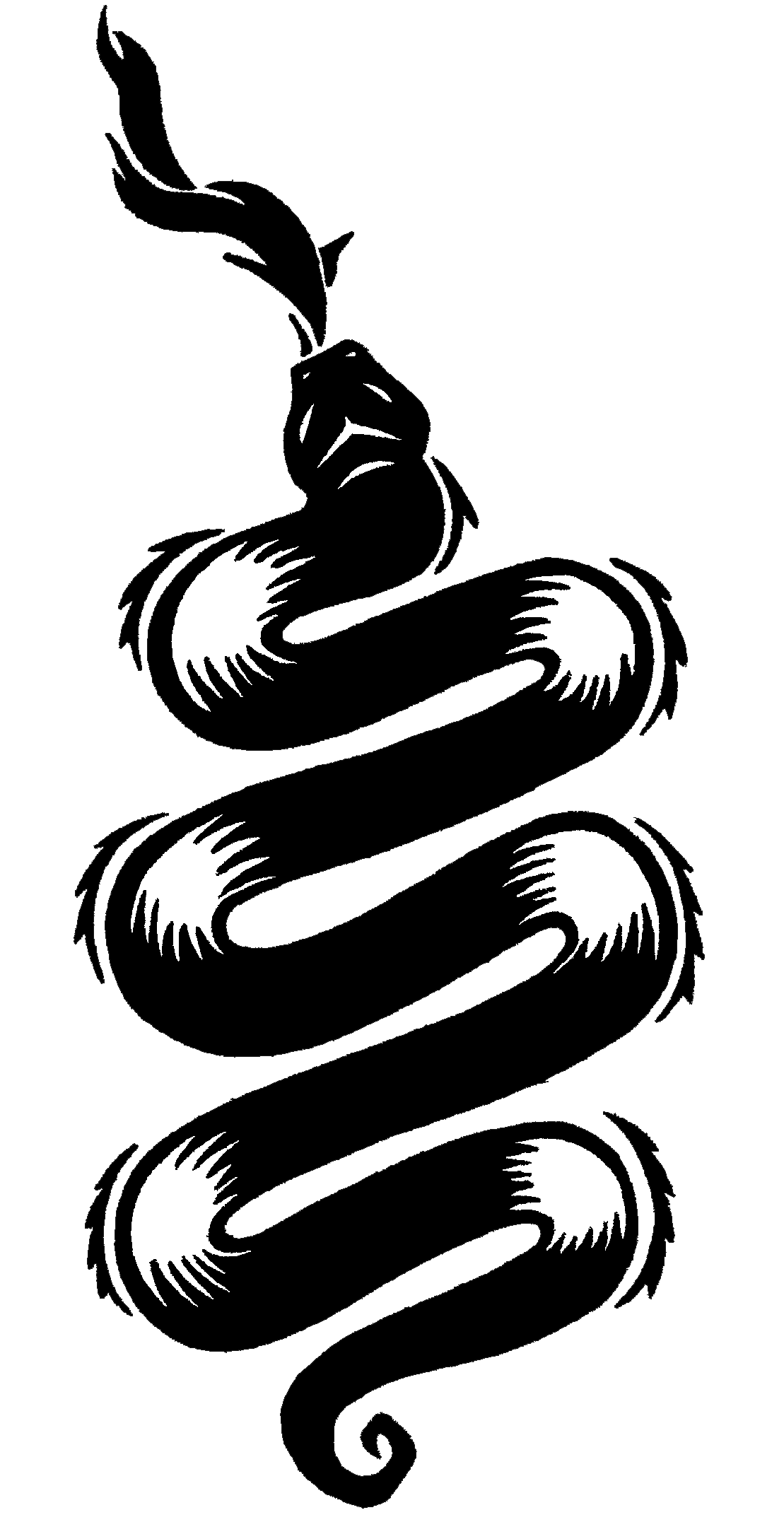 Snake Tattoo Transparent PNG Image