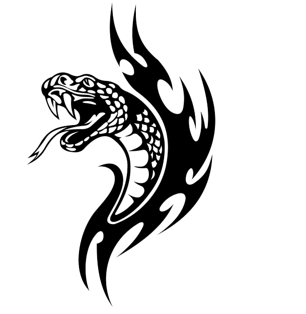 Snake Tattoo Transparent PNG Image