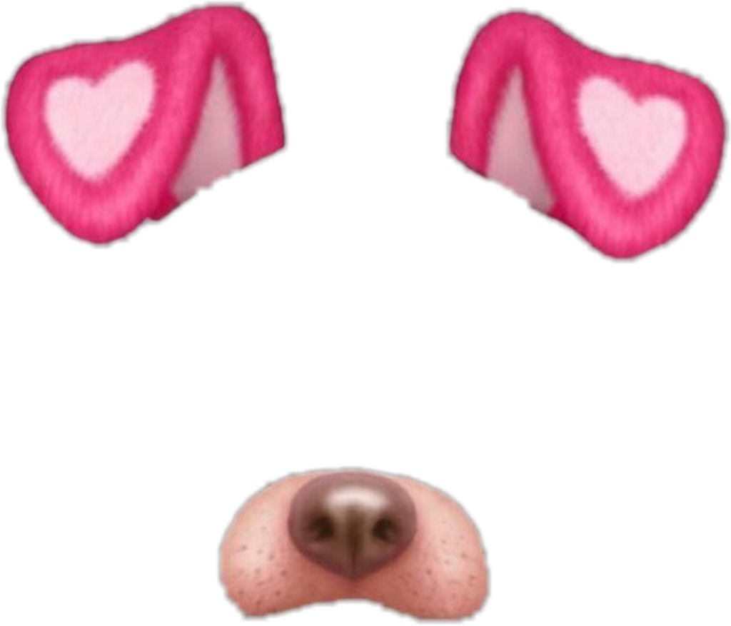 Filter Snapchat Face Transparent PNG Image