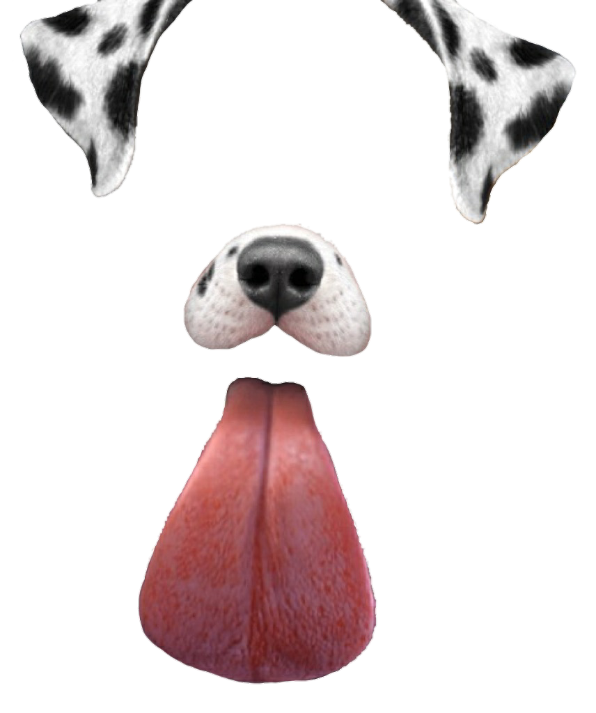 Filter Snapchat Face Transparent PNG Image