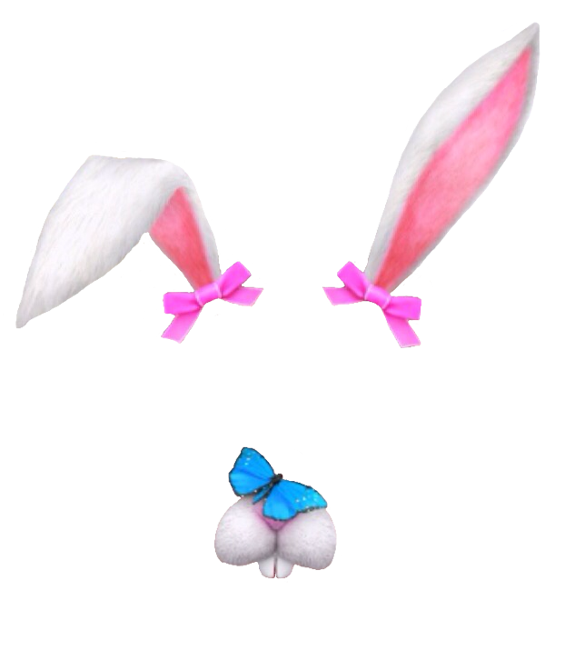 Filter Snapchat Face Transparent PNG Image