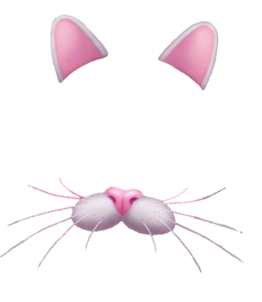 Filter Snapchat Face Transparent PNG Image
