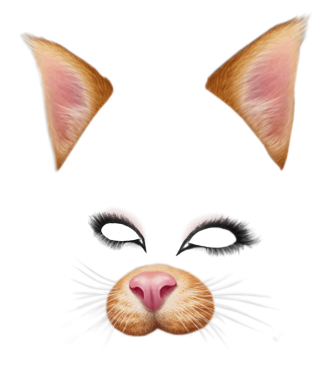 Filter Snapchat Face File Transparent PNG Image