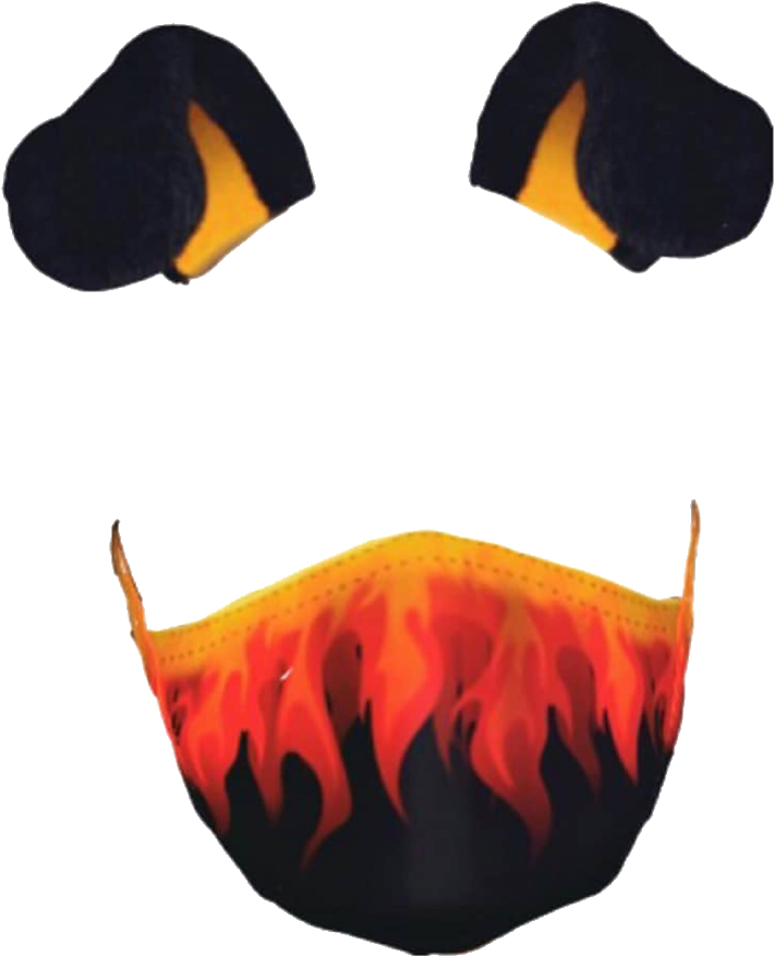 Filter Selfie Snapchat Transparent PNG Image