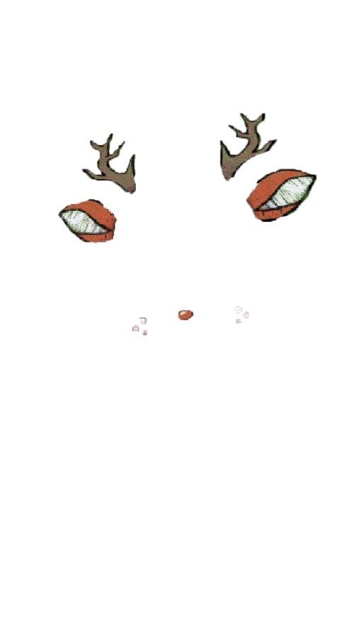 Filter Selfie Snapchat Transparent PNG Image