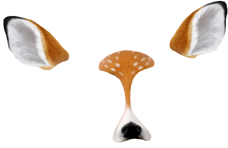Filter Selfie Snapchat Transparent PNG Image