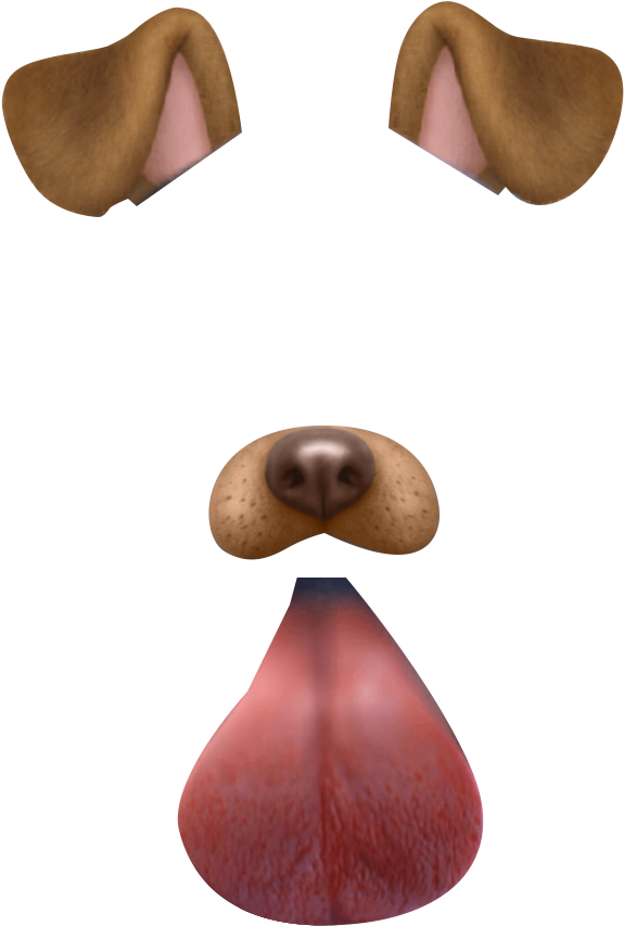 Filter Selfie Snapchat Transparent PNG Image