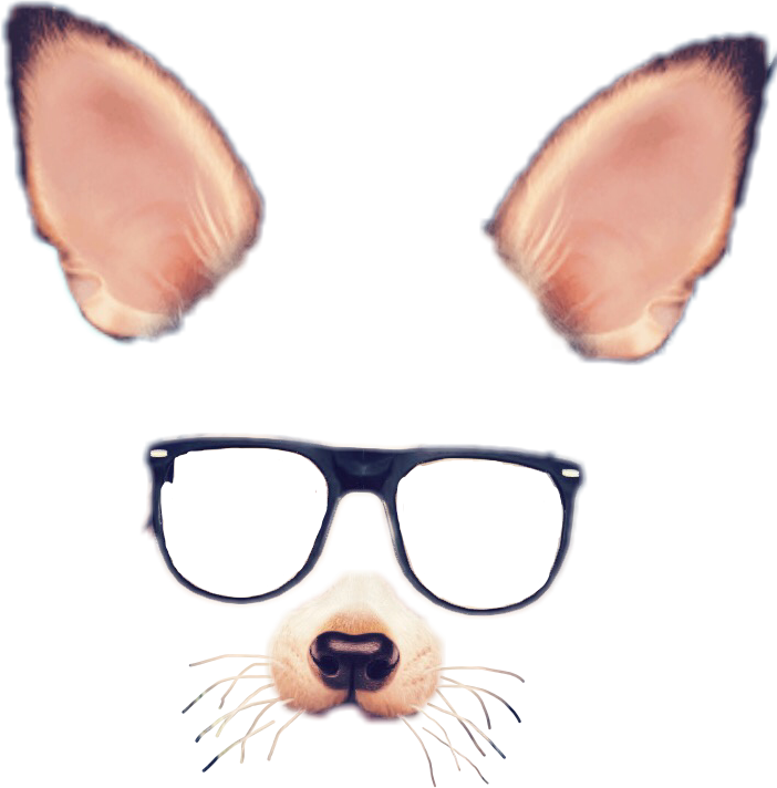 Filter Selfie Snapchat Transparent PNG Image