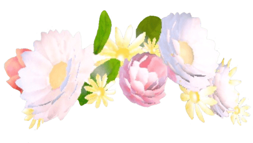 Filter Selfie Snapchat Transparent PNG Image