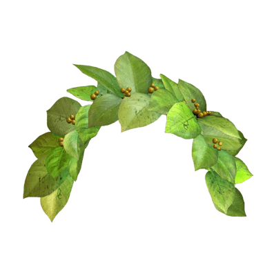 Snapchat Flower Crown Transparent PNG Image