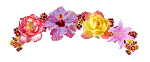 Snapchat Flower Crown Transparent PNG Image