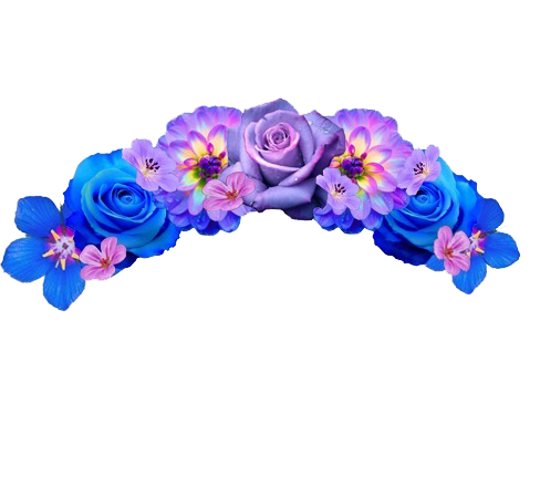 Snapchat Flower Crown Background Transparent PNG Image