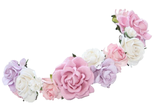 Snapchat Flower Crown Transparent PNG Image